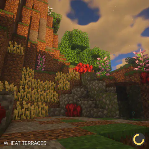 Wheat Terraces