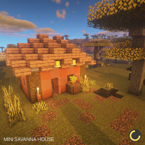 Mini Savanna House