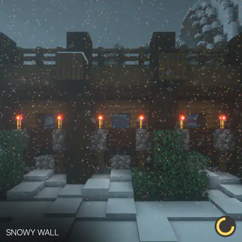 Snowy Wall