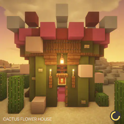 Cactus Flower House