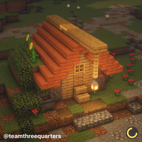 Mini Starter House