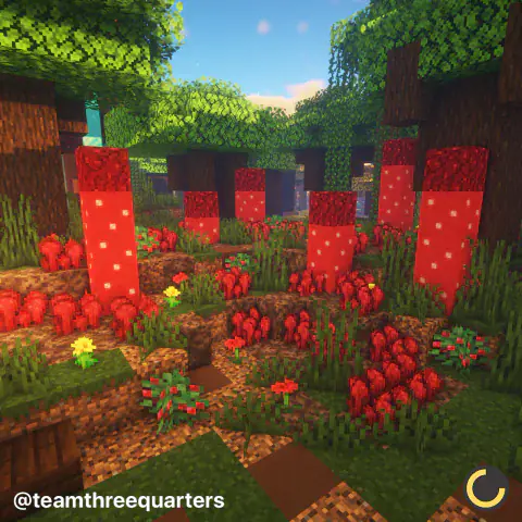Nether Wart Field