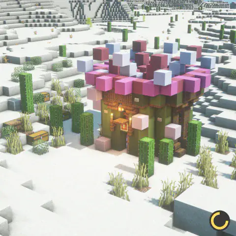 Mini Cactus House