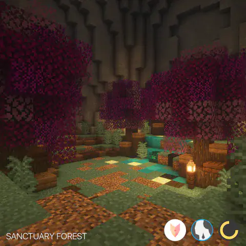 Sanctuary Forest